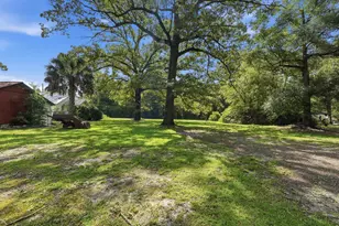 23774 Fourth Ave, Florala, AL 36442 - Photo 32