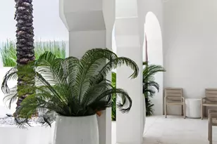 37 Caliza Lane, Alys Beach, FL 32461 - Photo 26