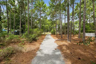 103 Jack Knife Drive, Inlet Beach, FL 32461 - Photo 58
