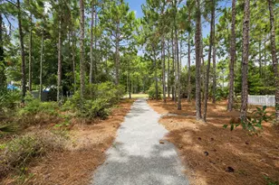 103 Jack Knife Drive, Inlet Beach, FL 32461 - Photo 58