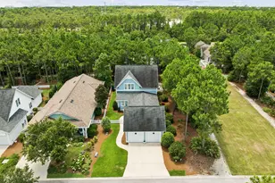 103 Jack Knife Drive, Inlet Beach, FL 32461 - Photo 52