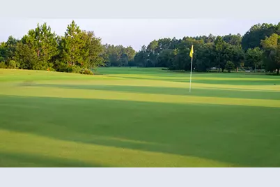 Tbd Green Heron Street #Lot 68, Watersound, FL 32461 - Photo 22