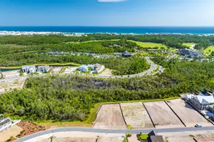 Lot 40 Sandcord Dr, Watersound, FL 32461 - Photo 1