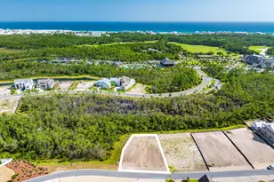 Lot 40 Sandcord Dr, Watersound, FL 32461 - Photo 1