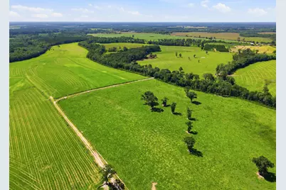 520 Acres US Hwy 331 N, Defuniak Springs, FL 32433 - Photo 36