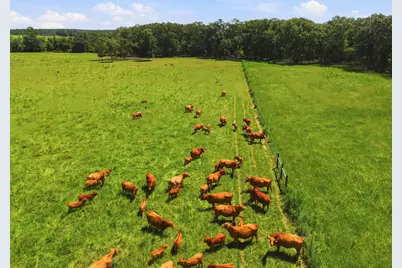 520 Acres US Hwy 331 N, Defuniak Springs, FL 32433 - Photo 58