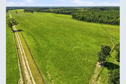 520 Acres US Hwy 331 N, Defuniak Springs, FL 32433 - Photo 16
