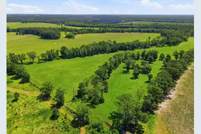 520 Acres US Hwy 331 N, Defuniak Springs, FL 32433 - Photo 48