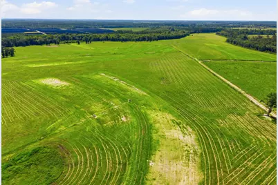 520 Acres US Hwy 331 N, Defuniak Springs, FL 32433 - Photo 34