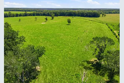520 Acres US Hwy 331 N, Defuniak Springs, FL 32433 - Photo 60