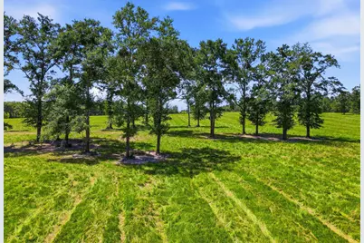 520 Acres US Hwy 331 N, Defuniak Springs, FL 32433 - Photo 64