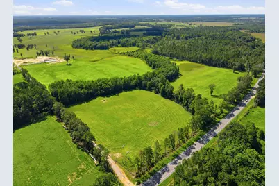520 Acres US Hwy 331 N, Defuniak Springs, FL 32433 - Photo 6
