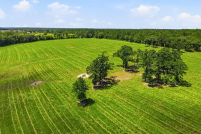 520 Acres US Hwy 331 N, Defuniak Springs, FL 32433 - Photo 66