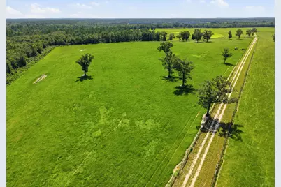 520 Acres US Hwy 331 N, Defuniak Springs, FL 32433 - Photo 20