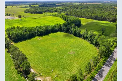 520 Acres US Hwy 331 N, Defuniak Springs, FL 32433 - Photo 8