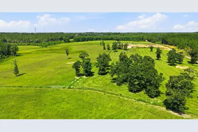 520 Acres US Hwy 331 N, Defuniak Springs, FL 32433 - Photo 24