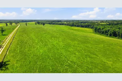 520 Acres US Hwy 331 N, Defuniak Springs, FL 32433 - Photo 22