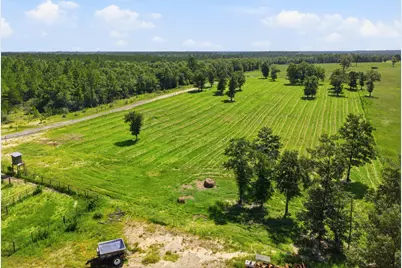 520 Acres US Hwy 331 N, Defuniak Springs, FL 32433 - Photo 10