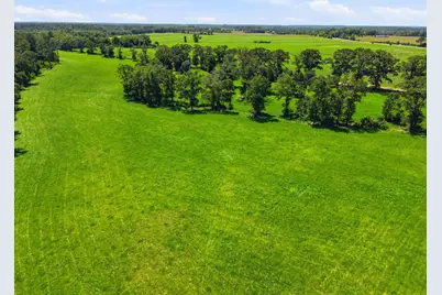 520 Acres US Hwy 331 N, Defuniak Springs, FL 32433 - Photo 46