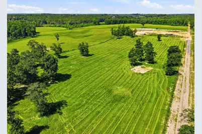 520 Acres US Hwy 331 N, Defuniak Springs, FL 32433 - Photo 14