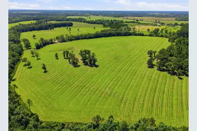 520 Acres US Hwy 331 N, Defuniak Springs, FL 32433 - Photo 52