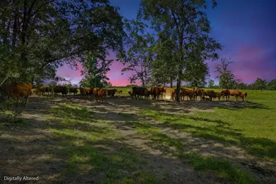 520 Acres US Hwy 331 N, Defuniak Springs, FL 32433 - Photo 1