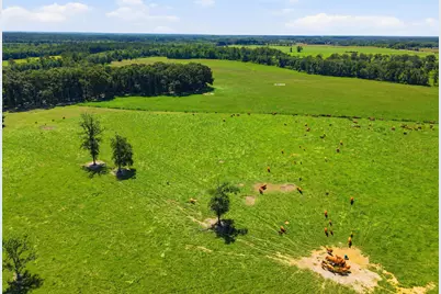 520 Acres US Hwy 331 N, Defuniak Springs, FL 32433 - Photo 56