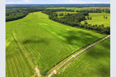 520 Acres US Hwy 331 N, Defuniak Springs, FL 32433 - Photo 42