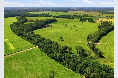 520 Acres US Hwy 331 N, Defuniak Springs, FL 32433 - Photo 38