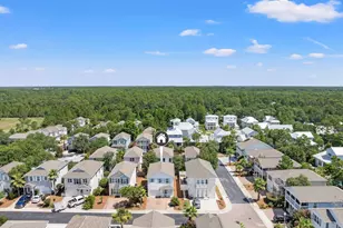 12 St Vincent Ln, Inlet Beach, FL 32461 - Photo 36