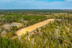 6665 Prosperity Ln, Milton, FL 32570 - Photo 4