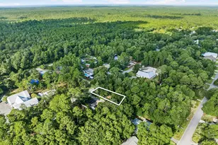 70 Little Canal Dr, Santa Rosa Beach, FL 32459 - Photo 4