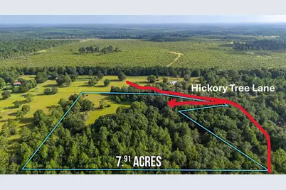 512 Hickory Tree Lane, Crestview, FL 32539 - Photo 2