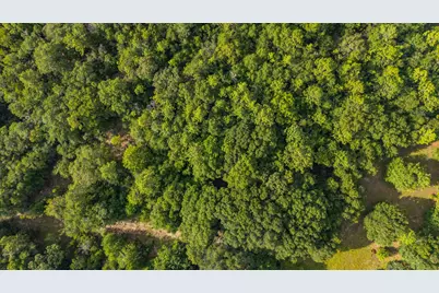 512 Hickory Tree Lane, Crestview, FL 32539 - Photo 12