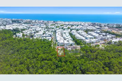 M17 Longtail Road, Inlet Beach, FL 32461 - Photo 8