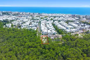 M17 Longtail Rd, Inlet Beach, FL 32461 - Photo 8