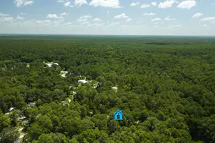 41 Frog Hill Rd, Freeport, FL 32439 - Photo 28