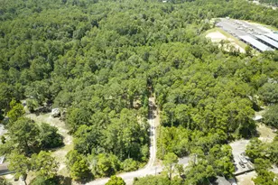 41 Frog Hill Rd, Freeport, FL 32439 - Photo 30