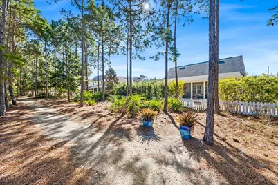 226 Medley Street, Inlet Beach, FL 32461 - Photo 24