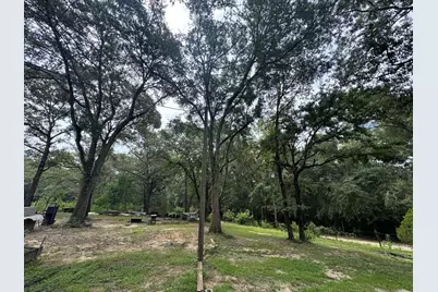 1971 Tower Lane, Westville, FL 32464 - Photo 2