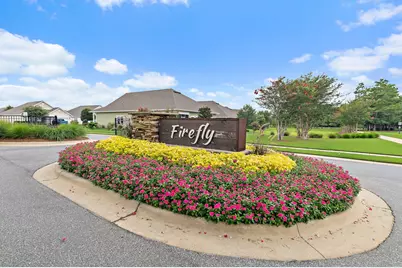328 Lightning Bug Lane, Freeport, FL 32439 - Photo 1