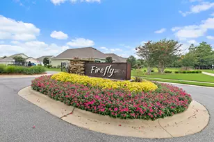 328 Lightning Bug Ln, Freeport, FL 32439 - Photo 1