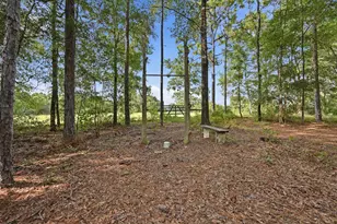 163 Tim Boland Rd, Defuniak Springs, FL 32435 - Photo 46