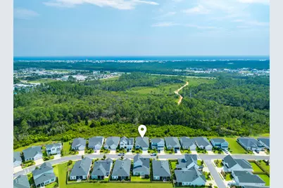 227 Suwannee Drive, Inlet Beach, FL 32461 - Photo 4