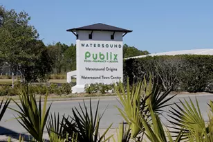 278 Pollard Cv E, Watersound, FL 32461 - Photo 38