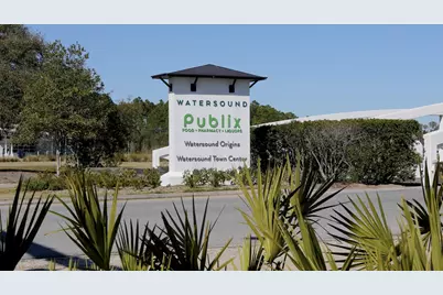 278 Pollard Cove East #Lot 122, Watersound, FL 32461 - Photo 50