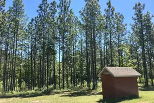 6051 Tupelo St, Crestview, FL 32539 - Photo 46