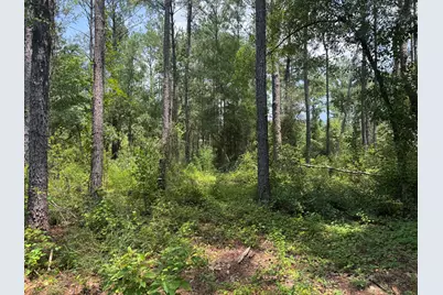 1015 Plantation Lane, Defuniak Springs, FL 32433 - Photo 4