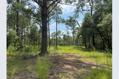 1015 Plantation Lane, Defuniak Springs, FL 32433 - Photo 6