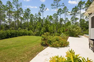 67 Tamoka Ct, Inlet Beach, FL 32461 - Photo 56